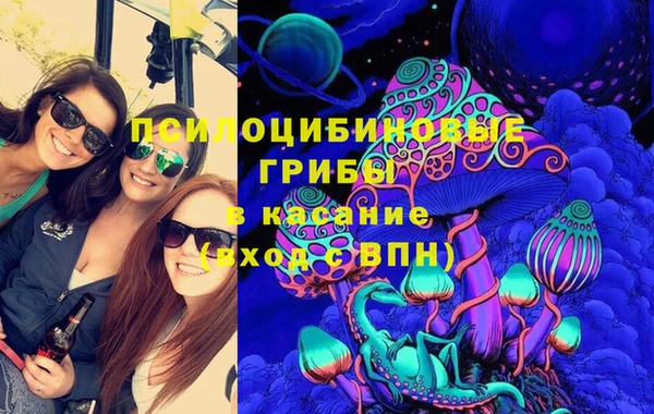 не бодяженный Арсеньев